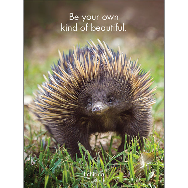 Little Affirmations - Awesome Aussies