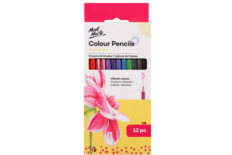 Signature Colour Pencils 12pc